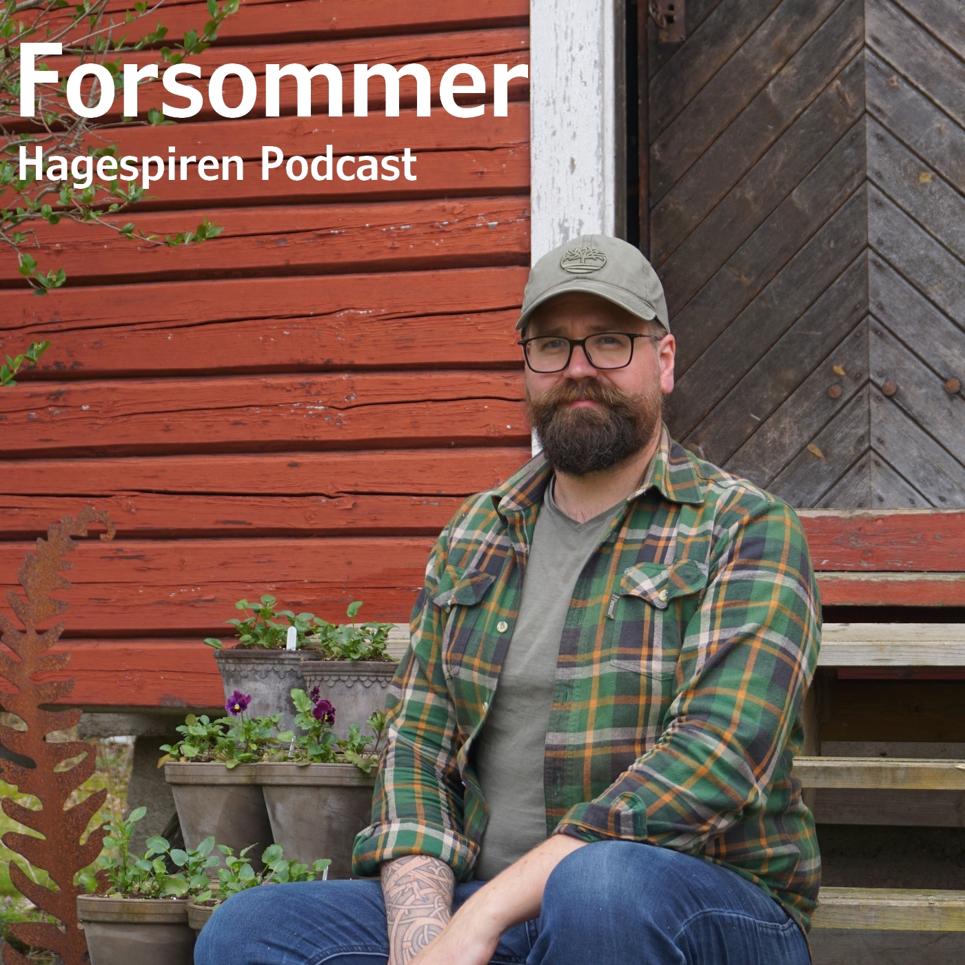 21/26: Forsommer med Tommy Tønsberg episode artwork