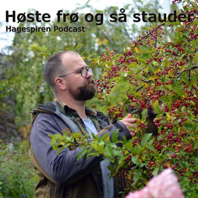 36/25: Tilbakeblikk - Høste frø og så stauder med Tommy Tønsberg