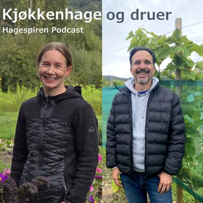 38/26: Kjøkkenhage og druer med Mali Skulgam og Danilo Costamagna