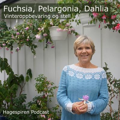 34/25: Tilbakeblikk - Vinteroppbevaring og stell av fuchsia, pelargonia og dahlia med Anne Starholm
