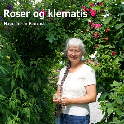 11/26: Roser og klematis med Helen Fredholm