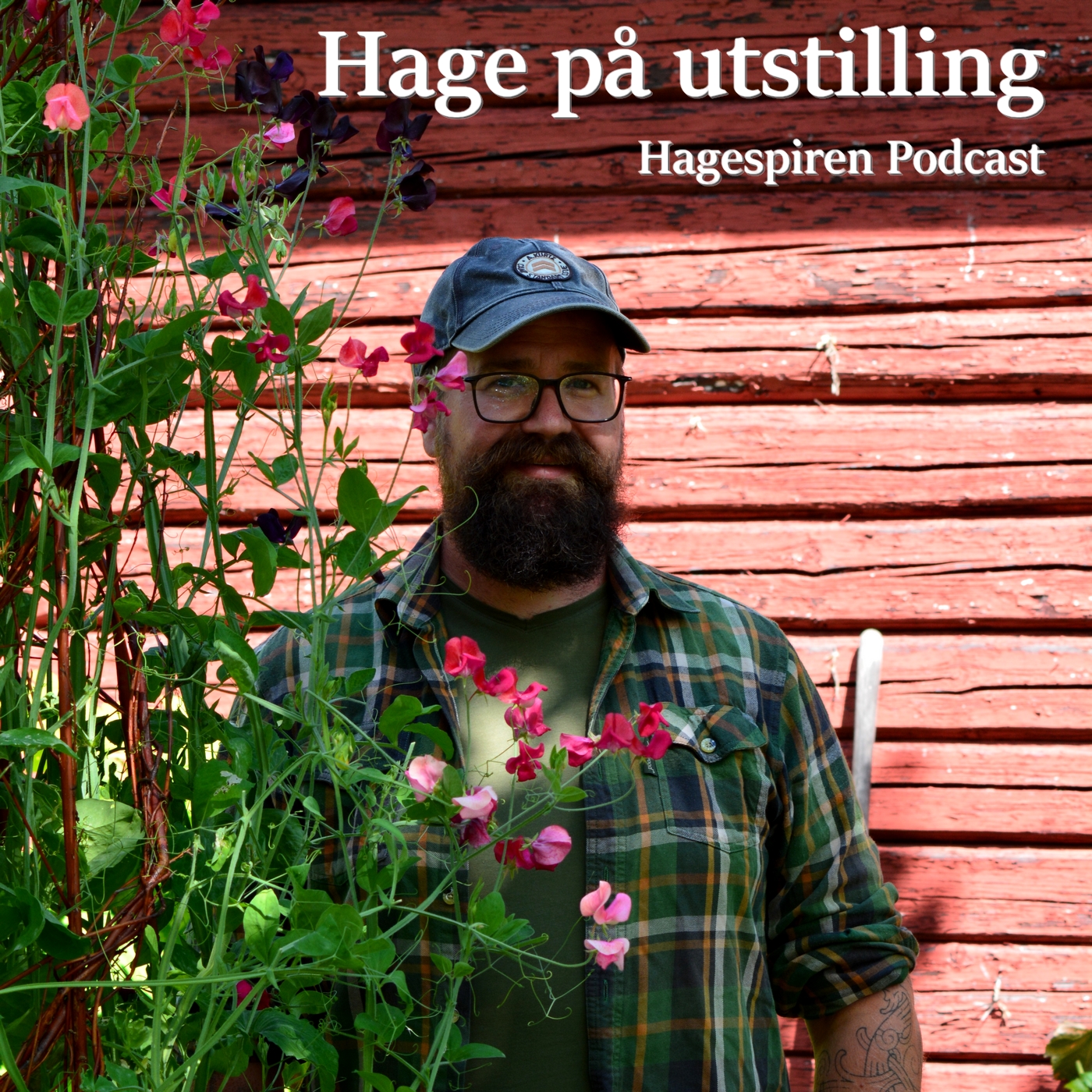 29/25: Hage på utstilling med Tommy Tønsberg