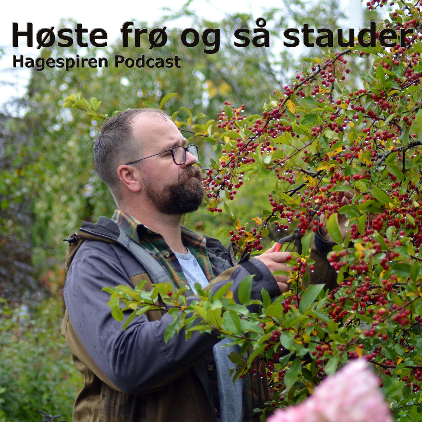 Hagespiren Podcast episode image