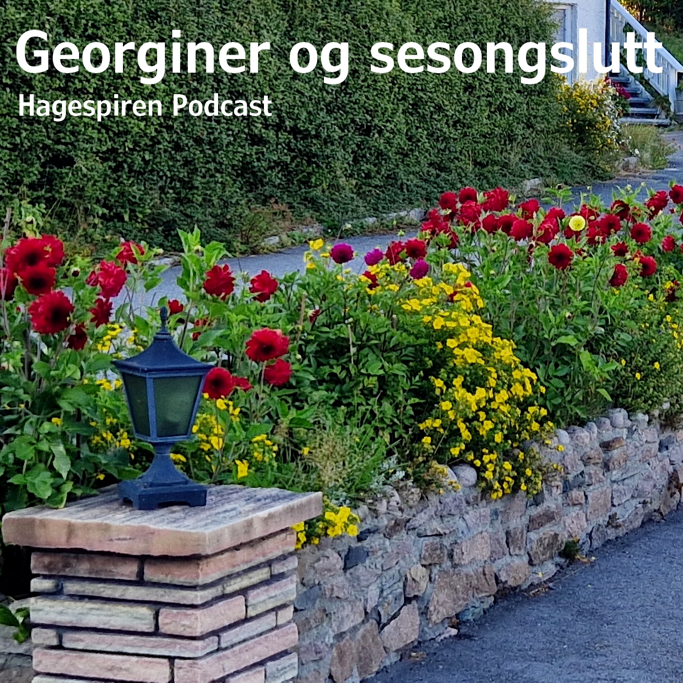 Hagespiren Podcast Podcast: 47/25: Georginer og sesongslutt med Morten Bakken Hagespiren Podcast episode image